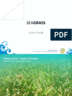 Seagrass: Erwin R Ardli