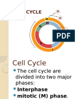 CELL CYCLE and Cancer