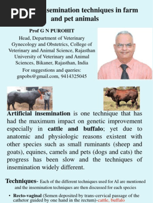 Artificial Insemination Techniques In Farm And Pet Animals Vagina Horse Breeding