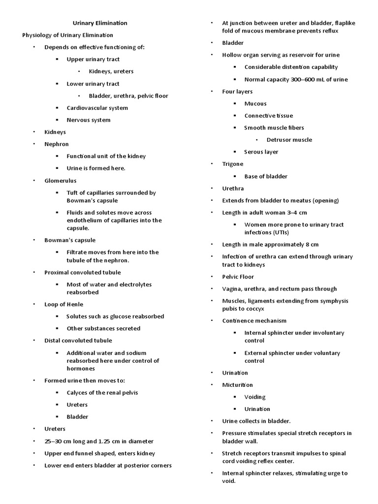Urinary Elimination | PDF | Urinary Incontinence | Urination