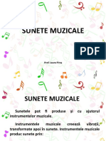 Sunete Muzicale