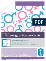 Pathology of Uterine Cervix