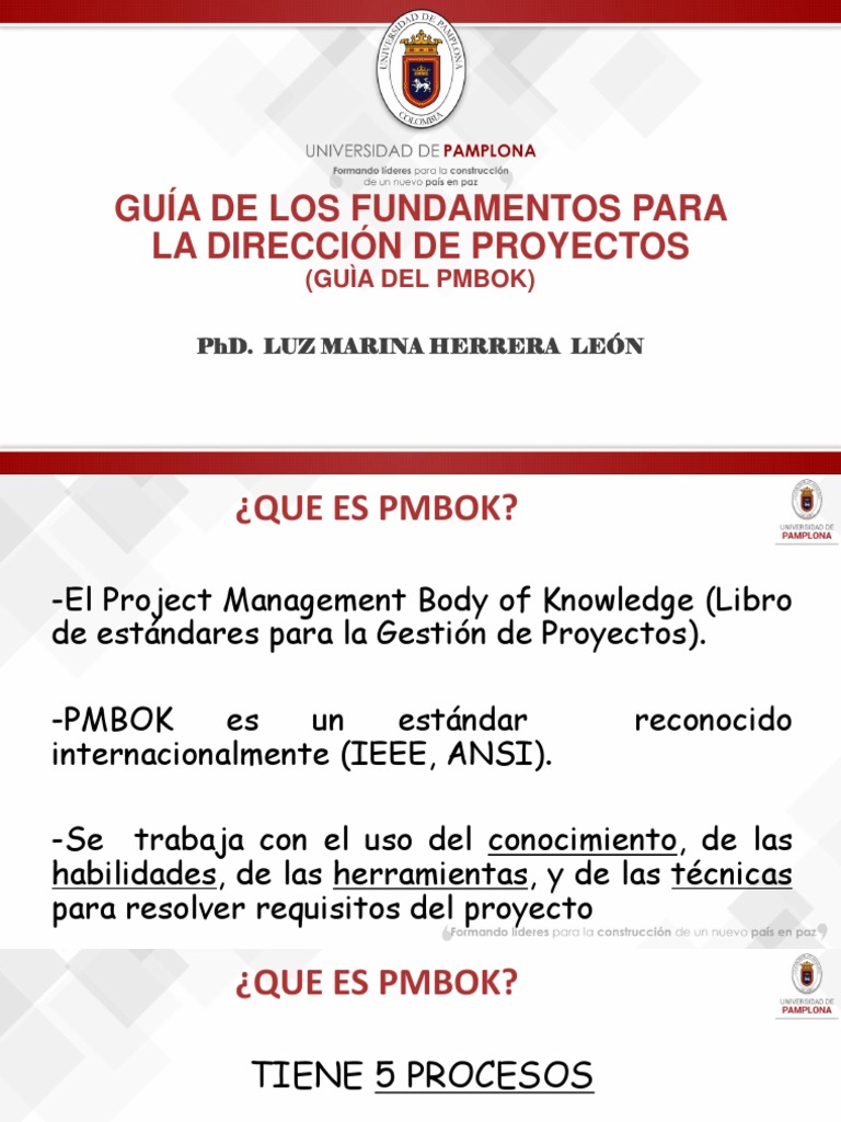 Guía completa para la gestión de proyectos según el PMBOK | PDF ...