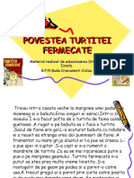 Turtita Fermecata