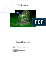 Traducción (1).pdf