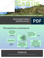 MICROENTORNO EMPRESARIAL.pptx