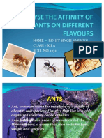 Which Flavour Does Ants Are Most Attracted To