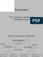 Transcription: RNA Polymerases and General Transcription Factors