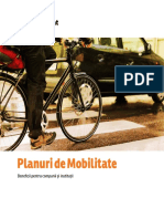 Managementul Mobilitatii in Companii