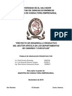 proyecto costos y rentabilidad de apicultura.pdf