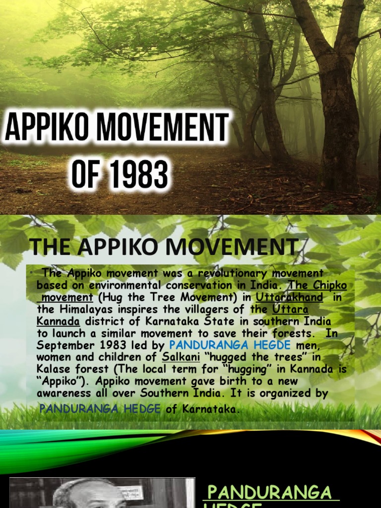 The Appiko Movement People Hug Trees to Save Southern India's Forests