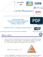 05 31 Am1 Introduction To Fires Am2 Theoretical Bases For Fire 1 PDF