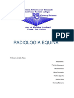 Radiologia Equina A PDF