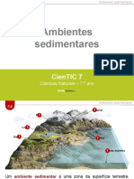 CienTic7- C4 Ambientes sedimentares