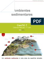 CienTic7 - C4 Ambientes Sedimentares