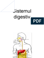 S Digestiv