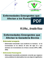 ENFERMEDADES EMERGENTES I 