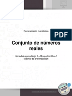 Razonamiento_cuantitativo_U1_B1_profundizacio_conjunto_numero_reales