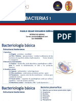 Bacterias 1 - Paulo Vizcardo Zuñiga