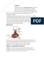 Glândulas e hormônios (Sistema Endócrino).docx