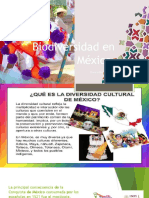 Diversidad Cultural