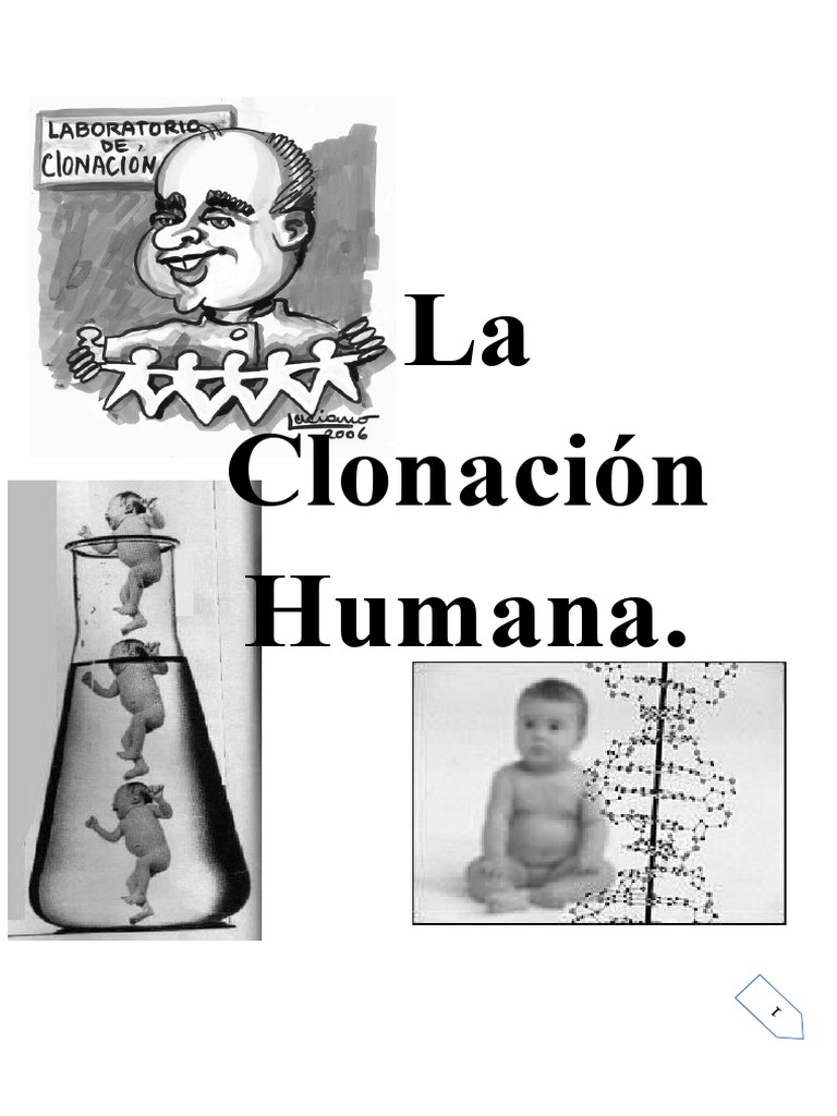 La Clonacion Humana Introduccion PDF Clonación Reproducción