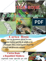 Cartea Roșie A R. Moldova