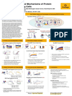 Poster - Monitoring Protein Degradation in Living Cells - Promega