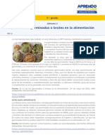 s5-5-prim-el-rol-de-los-germinados-brotes-alimentacion.pdf