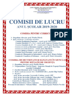 Comisii Panou 2019-2020