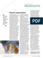 Attack Organization PDF