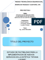 Diapositivas Proyectos Mercado Meta