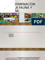 Contaminación de La Fauna y Flora