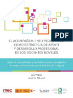acompanamiento_pedagogico (1) rev MB Casos paises LA docente novel.pdf