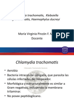 Chlamydia T y Klebsiella G, Haemophylus D