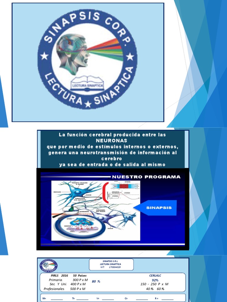 Función y Estructura de Neuronas | PDF | Sinapsis | Cerebro