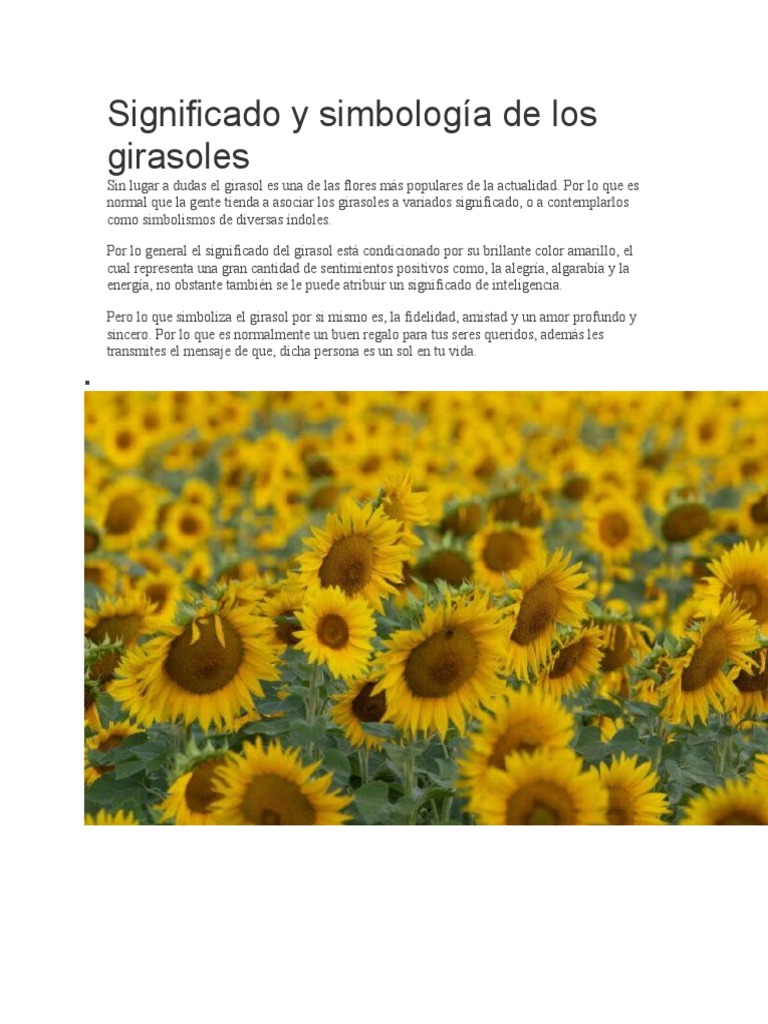 Girasol | PDF