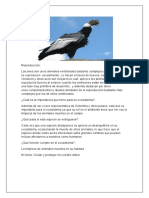 prae 2.docx