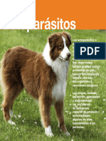 Ectoparasitos.pdf
