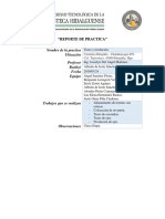 Reporte de Practica PDF