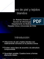 7.infecciones de Piel y Tejidos Blandos 2012