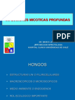 6.MICOSIS PROFUNDAS 2014 IV Año WEB