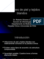 7.Infecciones de piel y tejidos blandos 2012.ppt