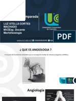 Angiologia PDF