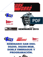 SEMINARIO 0AM DSG - DQ200