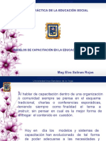 Sesión 15 Plenario Sobre Modelos de Capacitación en La Educación Social