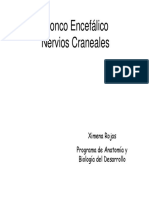 Tronco_y_Nervios_craneales.pdf