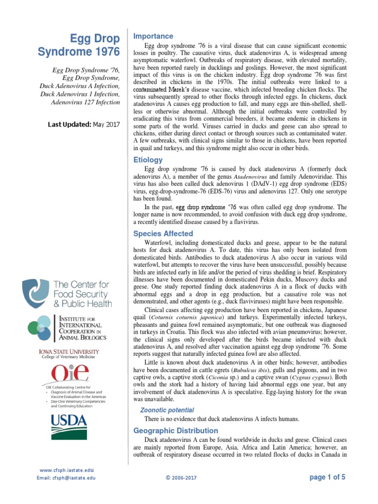 Egg Drop Syndrome PDF | PDF