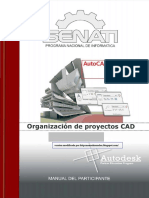 Modulo Ii - Organizacion de Proyectos Cad PDF