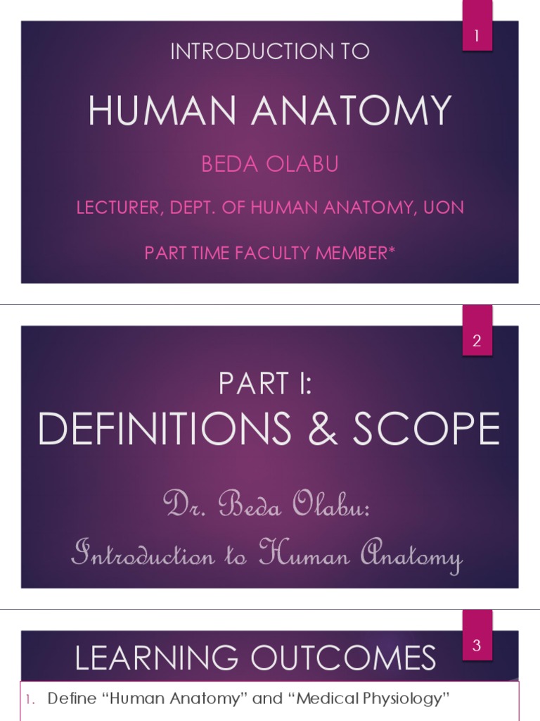 Introduction to Human Anatomy Basics | PDF | Anatomical Terms Of ...